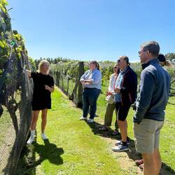 Poppy showing our small group her vineyard