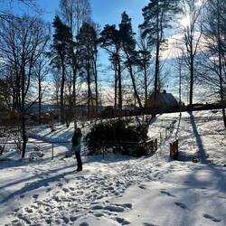 Jönköpings Stadspark