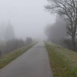 Der Nebel warbert über das Moor