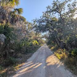 Main trail leading from dock, Cayo Costa