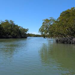 Mangrove lined channels amongst the 10,000 Islands, Everglades