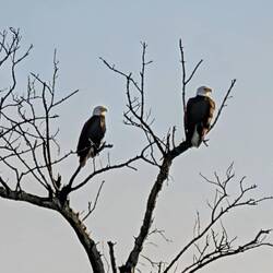 Right off our anchorage, Punta Blanca