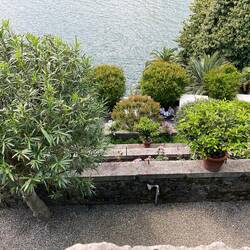 Looking down the terraces from the top