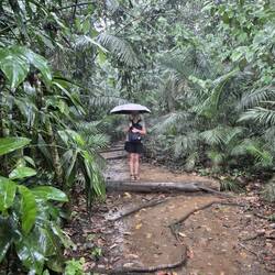 Wir stehen später mit Regenschirm im Regenwald