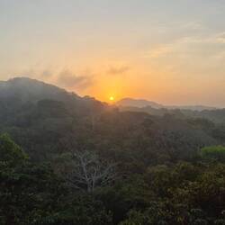 Sonnenaufgang über dem Regenwald