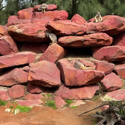 Die will ich mitnehmen