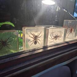 Sowas bitte nur hinter Glasscheiben