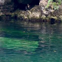 Trocknen nach der Jagd