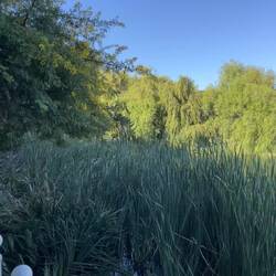 Blick von der Winetasting - Terrasse