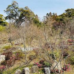 wunderbar eingebettet in eine schöne Parkanlage