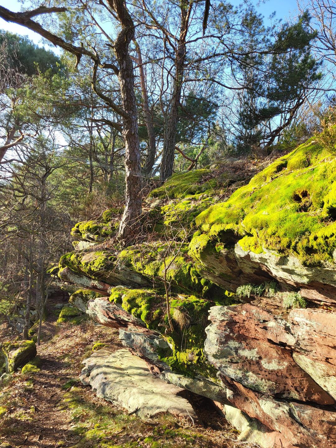 Immer wieder sooo schööön.