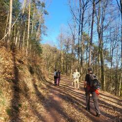 Gruppenwanderung
