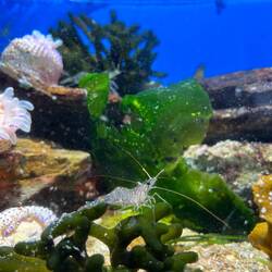 Oceanium an VA Waterkant ist immer Besuch wert