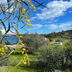 ..wir sind sooo dankbar für solche Plätze 🍀🙏🫶