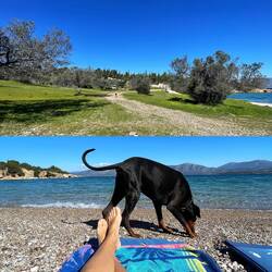 ..ganz windstill in der Bucht,dabei sind es grad mal 17,18Grad☀️so fühlt sich Lesley auch sehr wohl 🙌