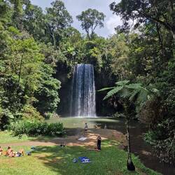 Millaa Millaa Falls