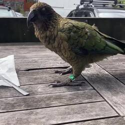 We lost just a few crumbs