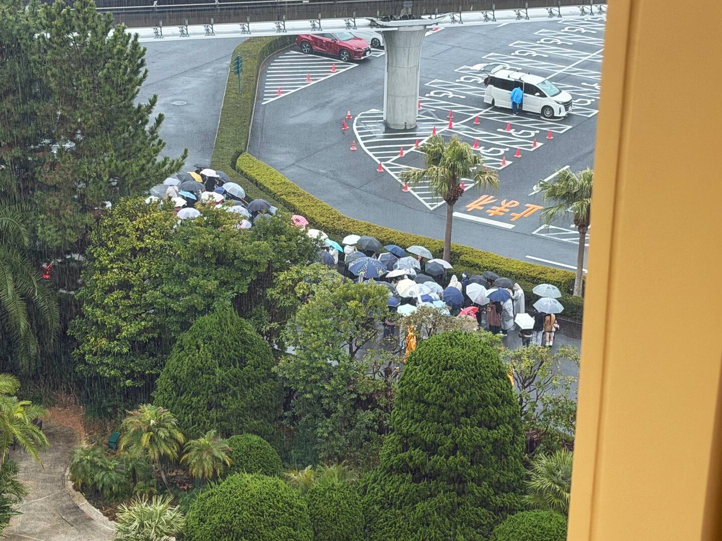 Uh oh, 90 minutes before opening and even a monsoon isn't keeping them away!