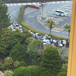 Uh oh, 90 minutes before opening and even a monsoon isn't keeping them away!