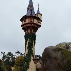 Rapunzel's tower, and yes, she's up there singing when you go by in your little boat.