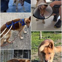 Athos Anfang September und jetzt