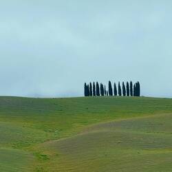 Zypressen-Kreis von Weitem ersichtlich!