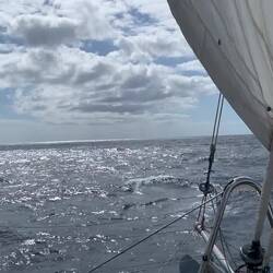 Endlich wieder Segeln