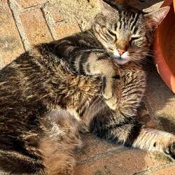 Ein Bild für Isabella 😉!