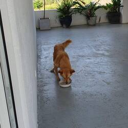 First things first 🧡