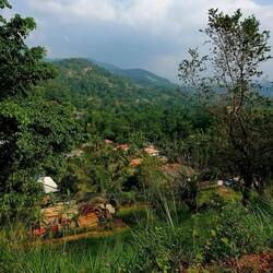 Auf dem Weg nach Kandy durch kilometerweite Teeplantagen