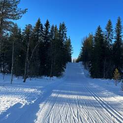 Sieht von unten gar nicht so steil aus. 🤔