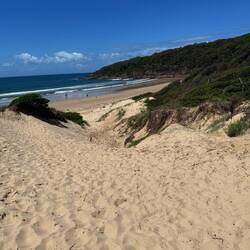 Dünen und Strand schön