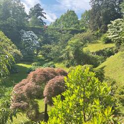 Wonderful views in all directions crammed with plants