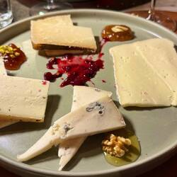 4 verschiedene Sorten Pecorino aus Pienza