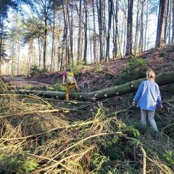 Das Ergebnis der Forstarbeiten.