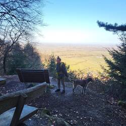 Blick in die Rheinebene.