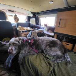 Abenteuerliche Anreise...