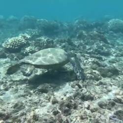 Tadaaaa.... 😍🤩