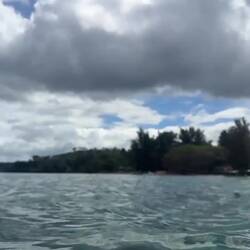 Und abtauchen in die Unterwasserwelt...