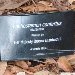 Baumpflanzung von Queen Elizabeth II