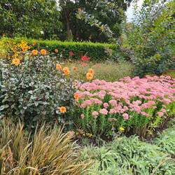 Botanischer Garten