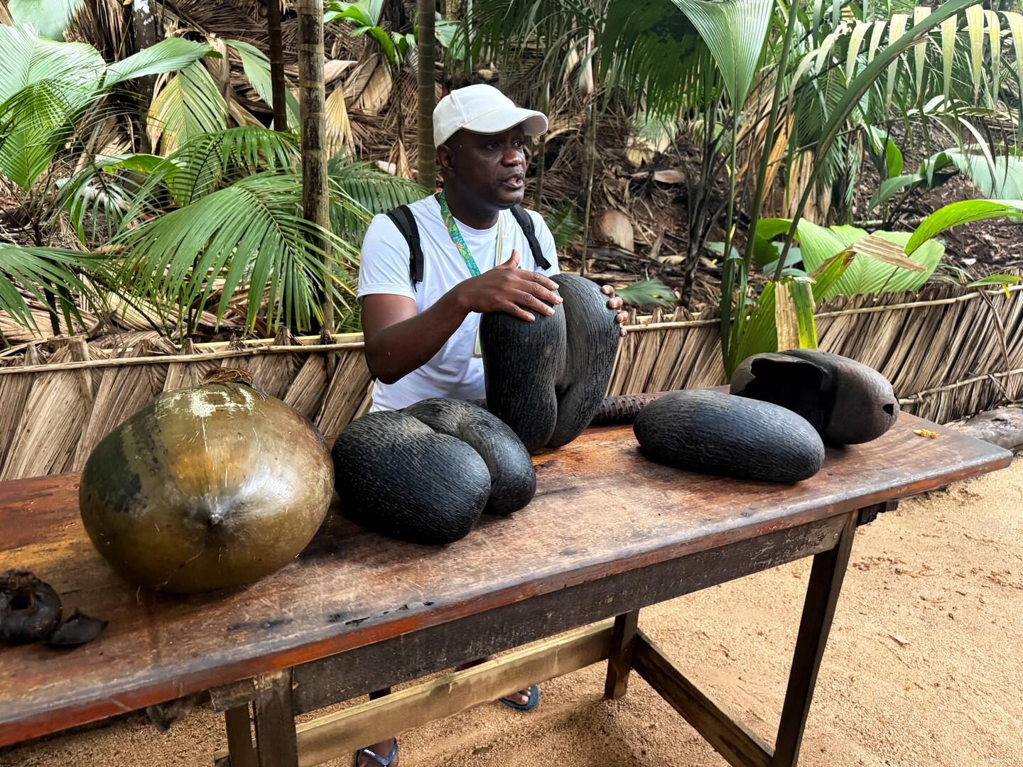 Vår guide George visade de enorma nötterna