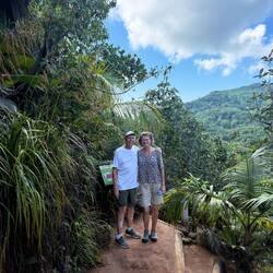 Med utsikt över regnskogen