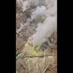 Ils y font cuire des œufs, tout noirs du coup.