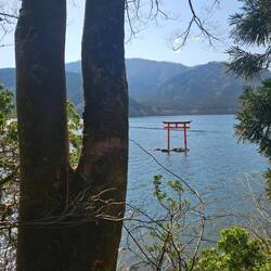 En bas, le lac Ashi est très préservé: pas d'immeuble ni maison.