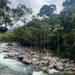 Mossman Gorge- schwimmen leider wegen Strömung gerade nicht erlaubt ⚠️