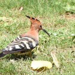 die Sonne kam zurück und nicht nur wir freuten uns 🌞😁