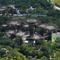 Garden of the Bay vom Dach des Hotels aus