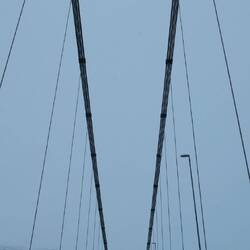 Bäume verschwinden.