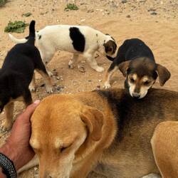 Mama braucht sich mal liebe 🫶❤️💫